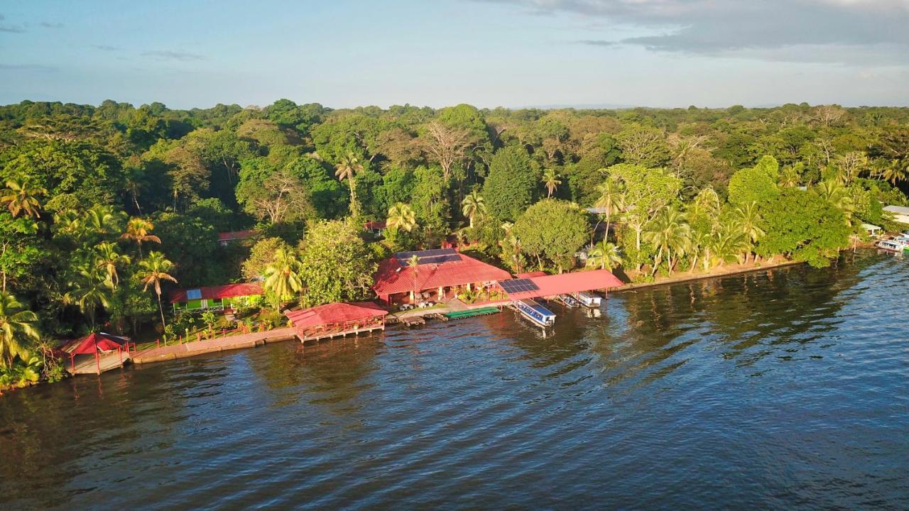 Baula * Tortuguero