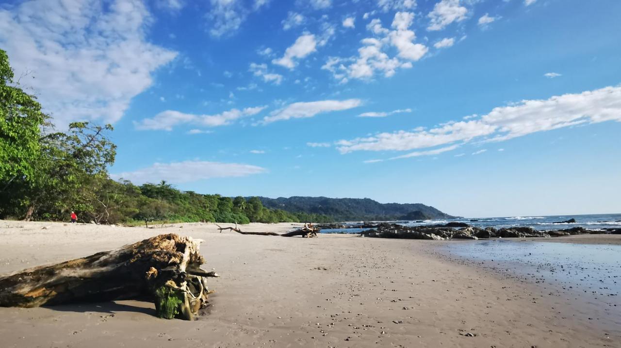 Colibri - 4 Min Walk To The Beach! Playa Santa Teresa (Puntarenas)