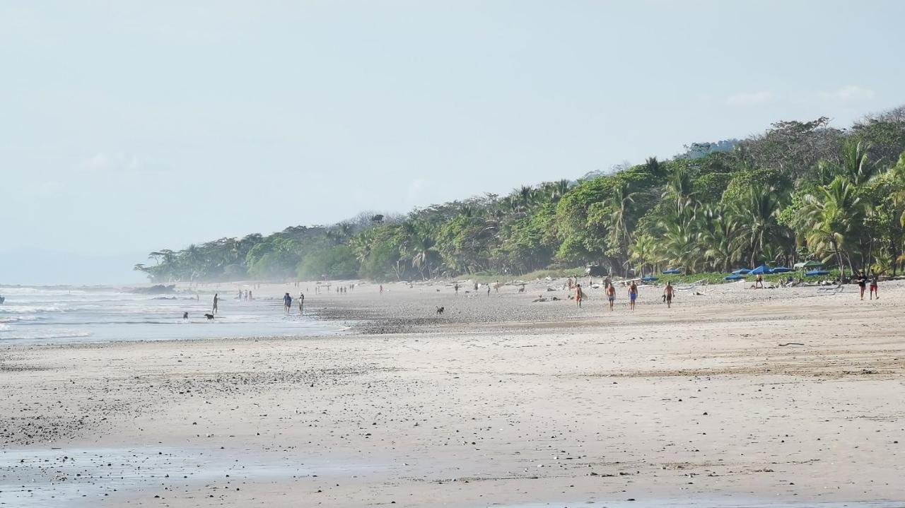 Colibri - 4 Min Walk To The Beach! Apartment Playa Santa Teresa (Puntarenas)