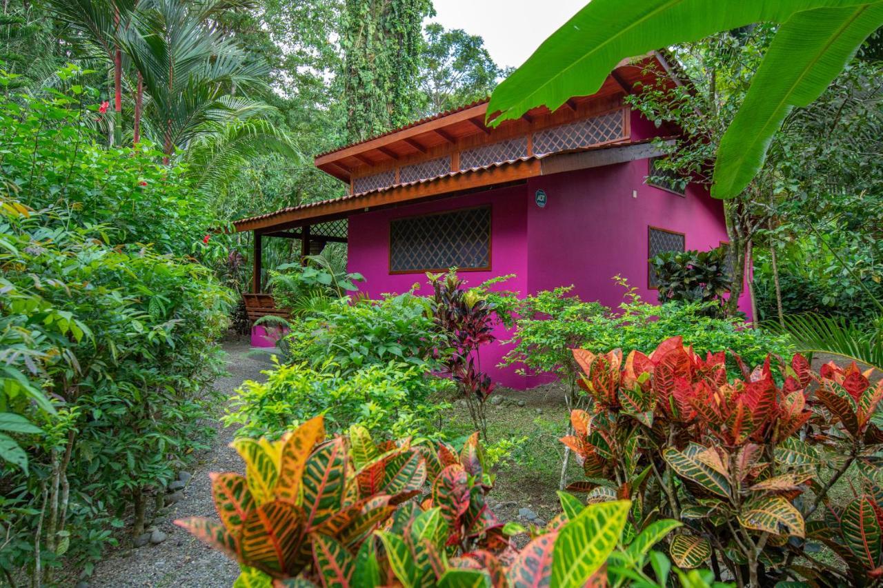 Colores Del Caribe Dependencia Del Casa Merlin *