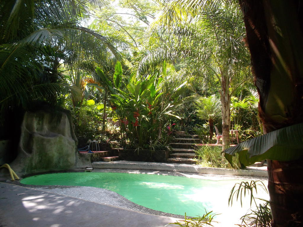 La Tropicale Samara