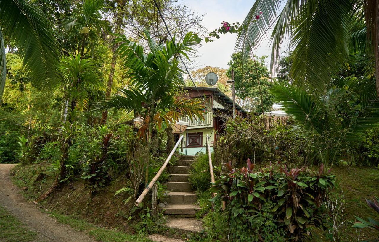 Sukia Hostel 2* Drake Bay