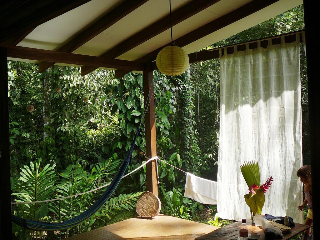 Casa Lina Sloth View Exotic With Privat Kitchen Apartment *
