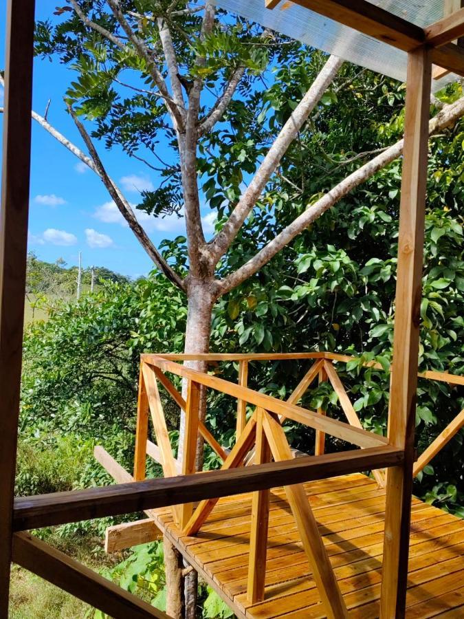 Onca Tours & Treehouses Lodge Katira