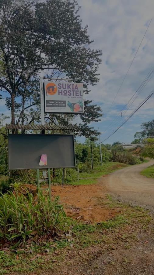 Sukia Hostel 2* Drake Bay