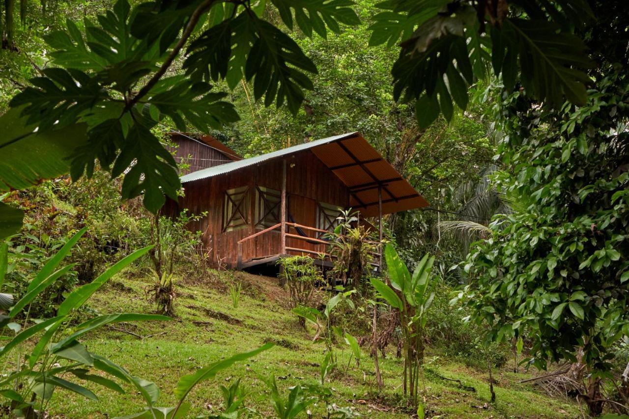 Sukia Hostel Hotel Drake Bay