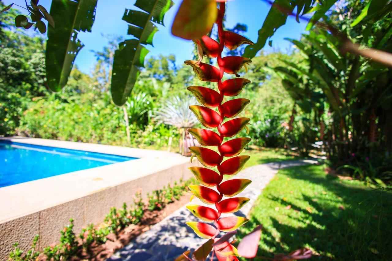 Casa Merlin Hotel 3*