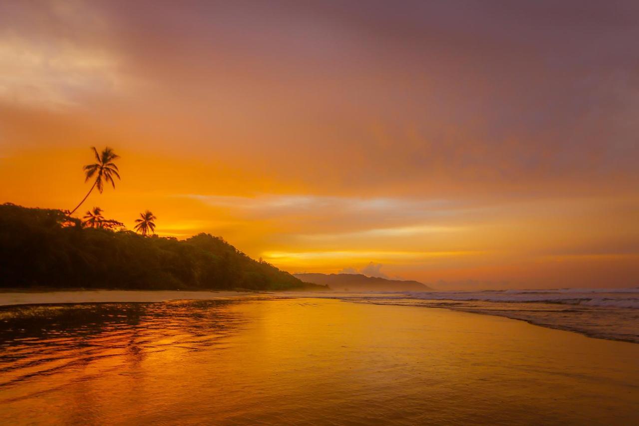 Hotel El Chante Surf House Playa Santa Teresa (Puntarenas)