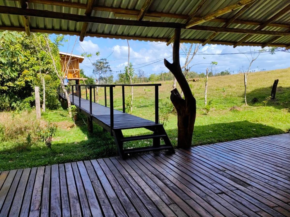 Lodge Onca Tours & Treehouses