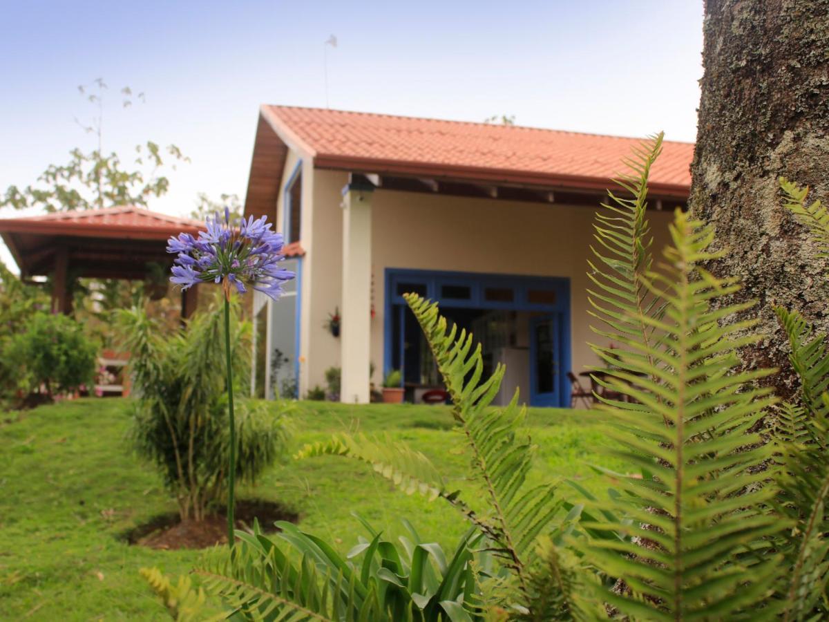 Casa Bartzis, Close To And Tapanti National Park