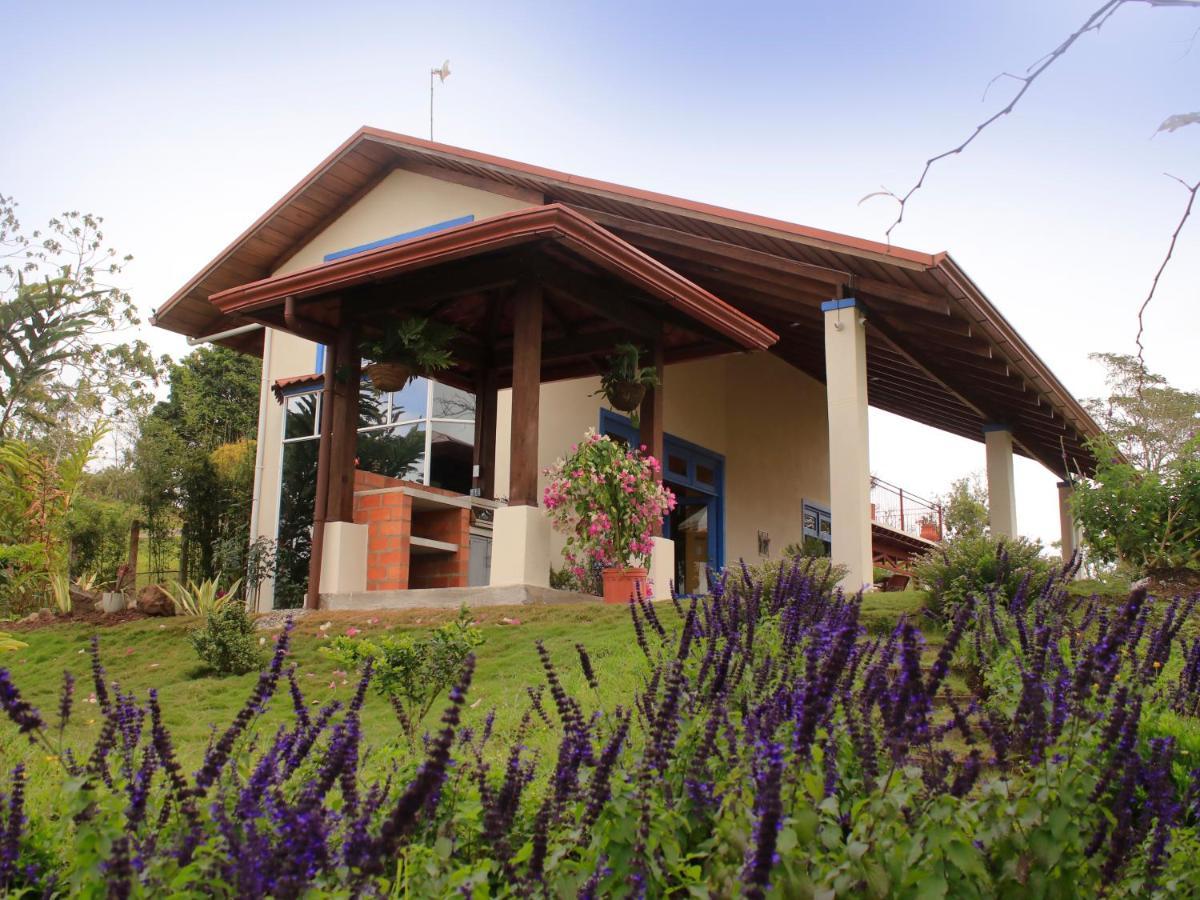 Casa Bartzis, Close To And Tapanti National Park *