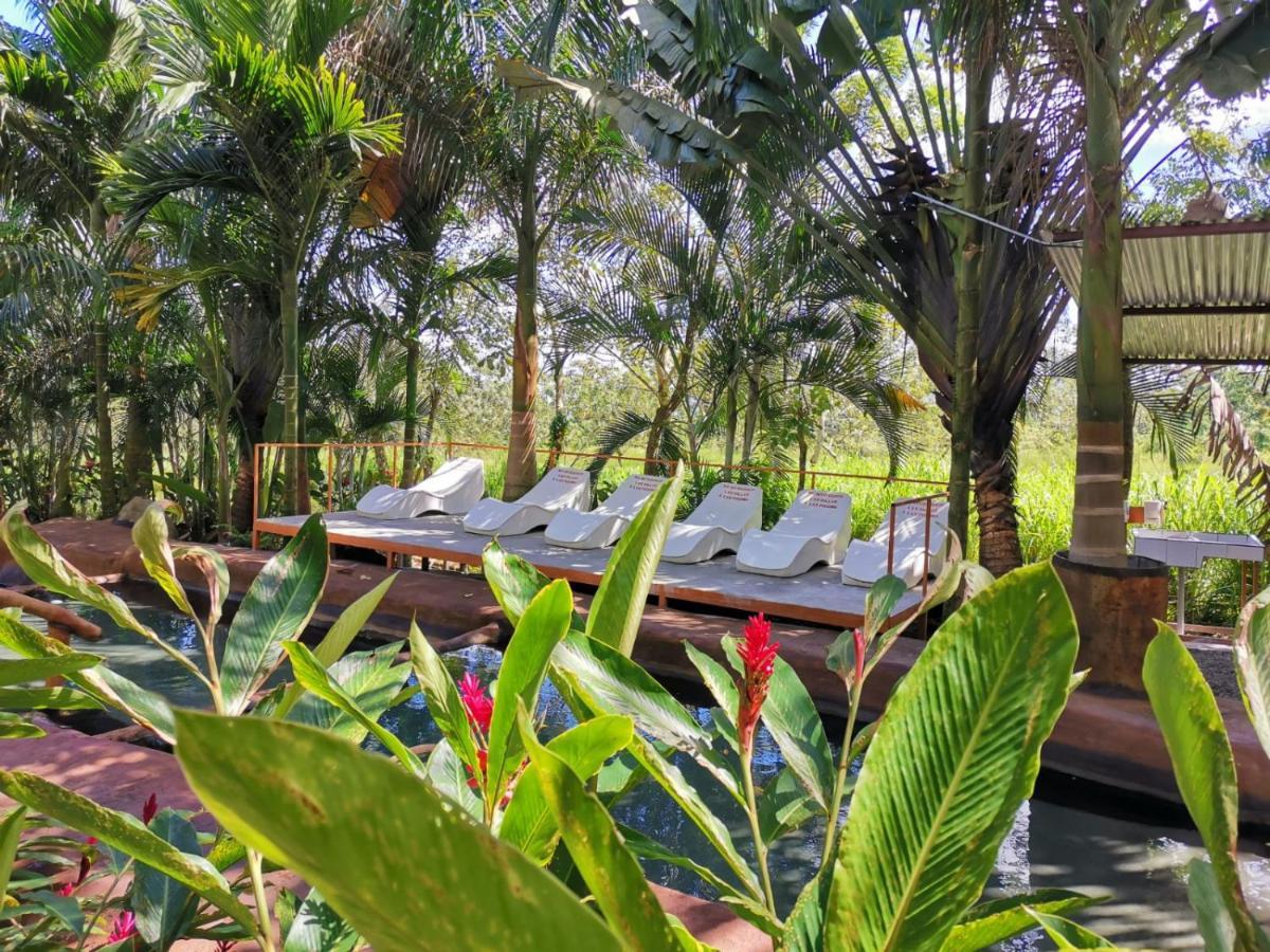Palmera Real Hot Springs La Fortuna