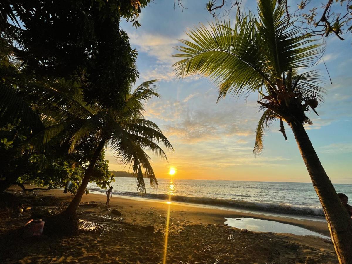 Ceiba