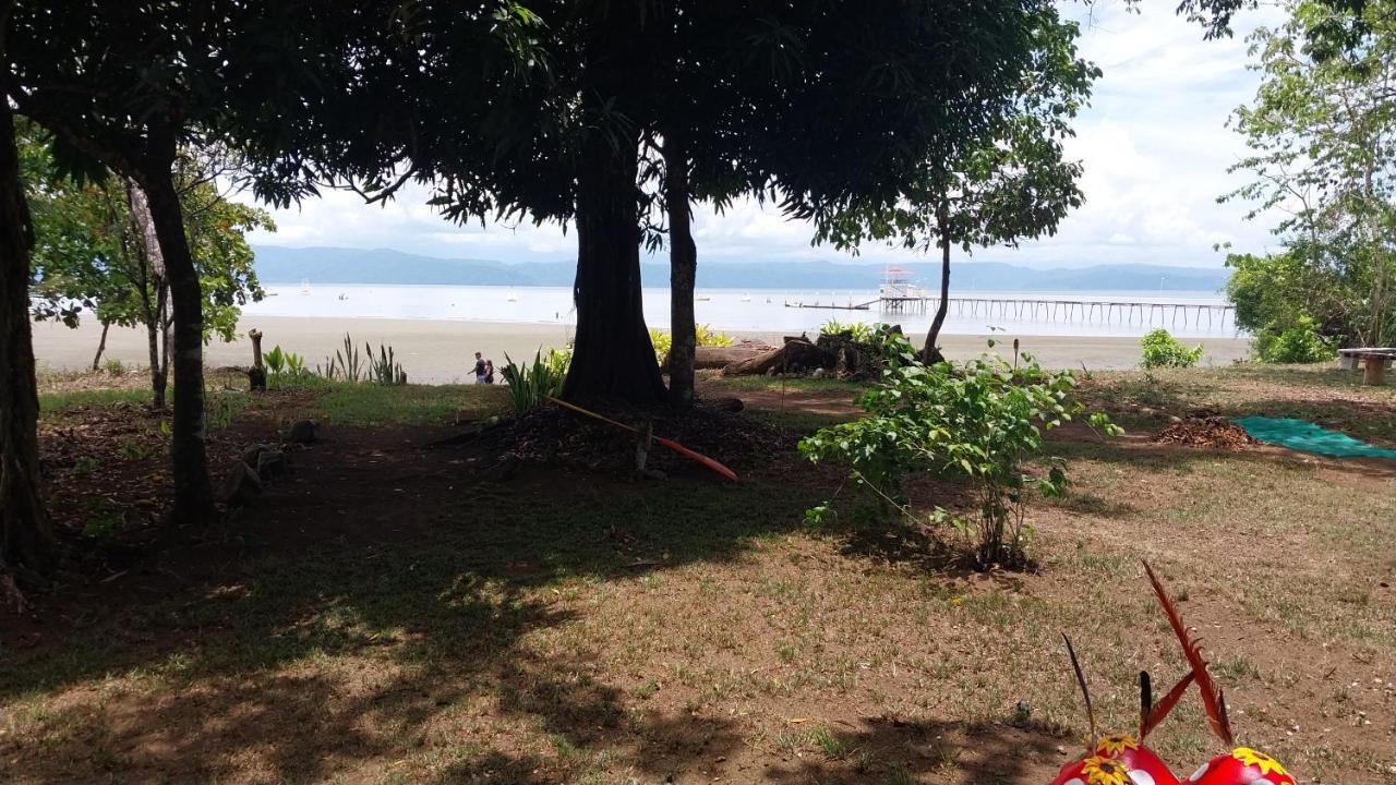 Happy Monkeys * Puerto Jimenez