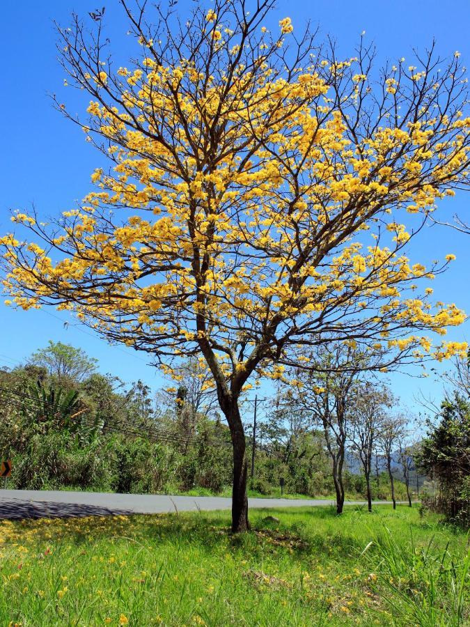 Casa Bartzis, Close To And Tapanti National Park Orosi