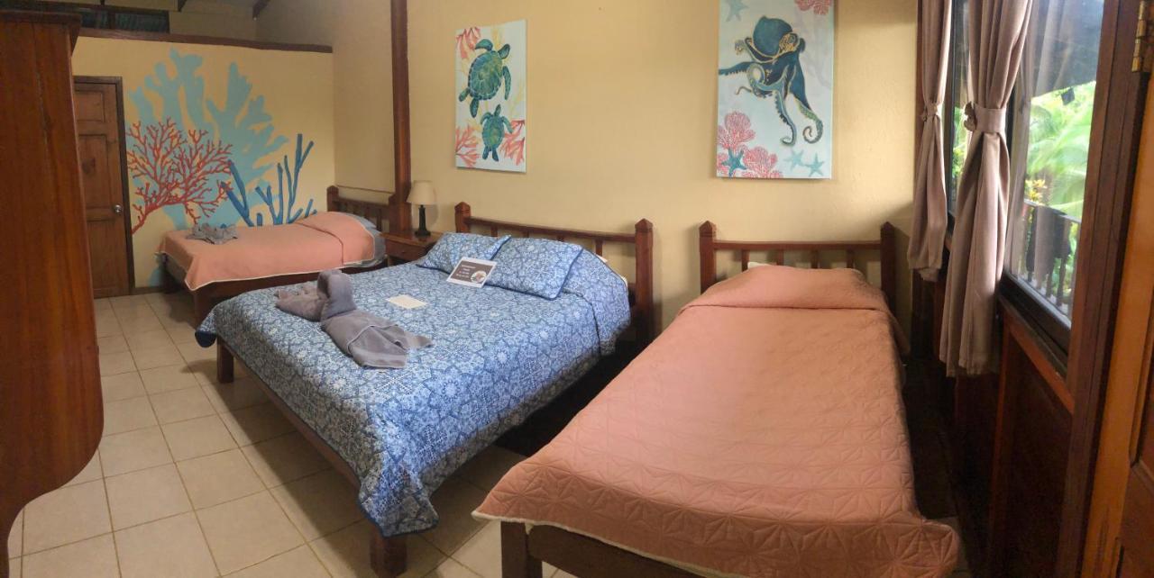 Jinetes De Osa