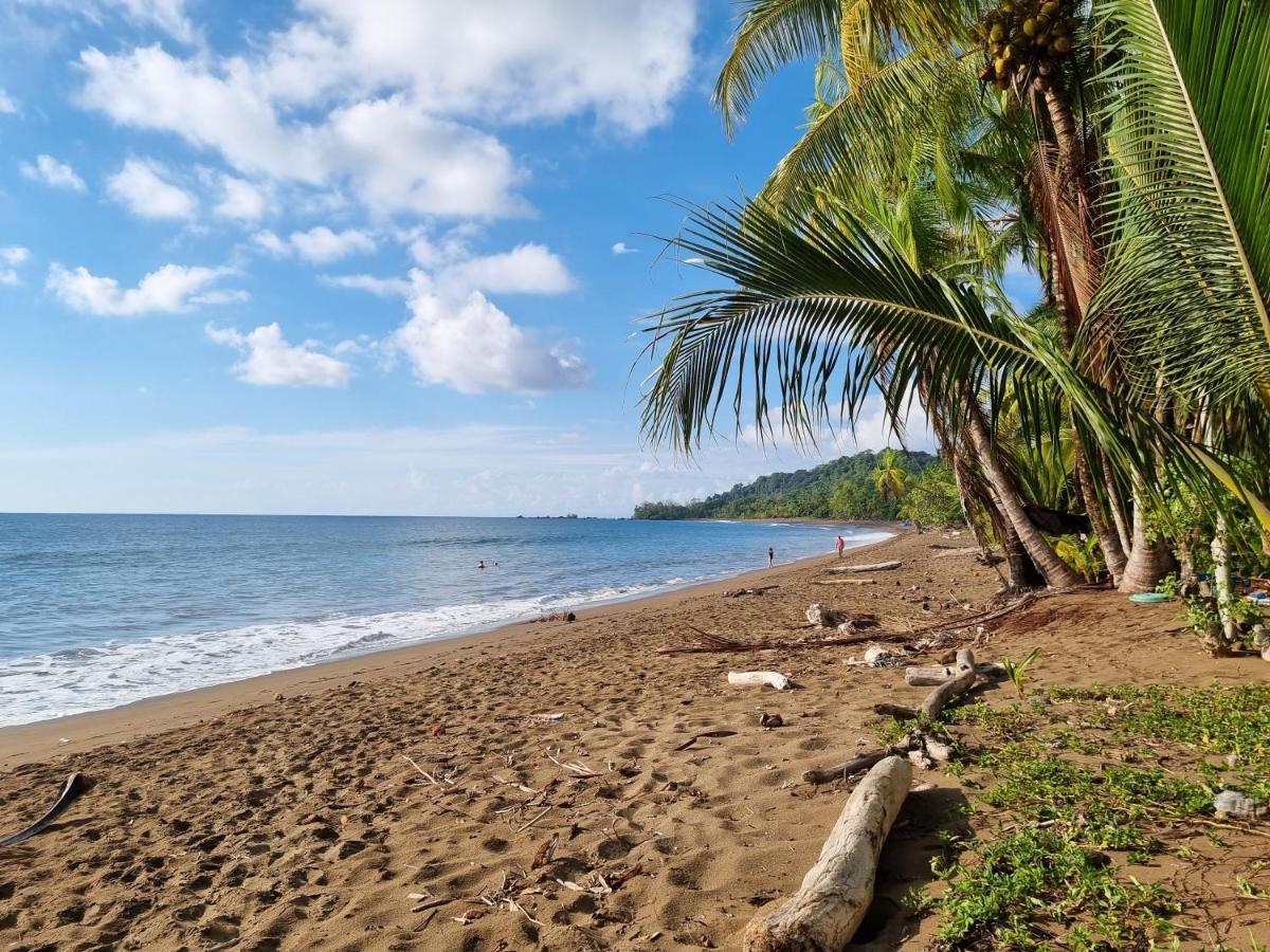 Hotel Cabinas Pura Vida Tour Operator Drake Bay