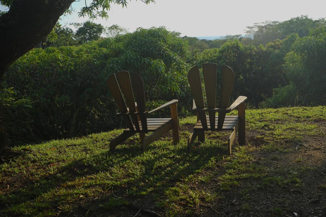 Calamocha Hotel 4*
