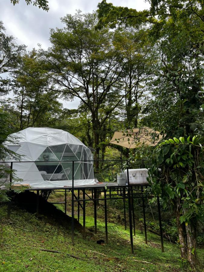 Roble Coral Glamping *
