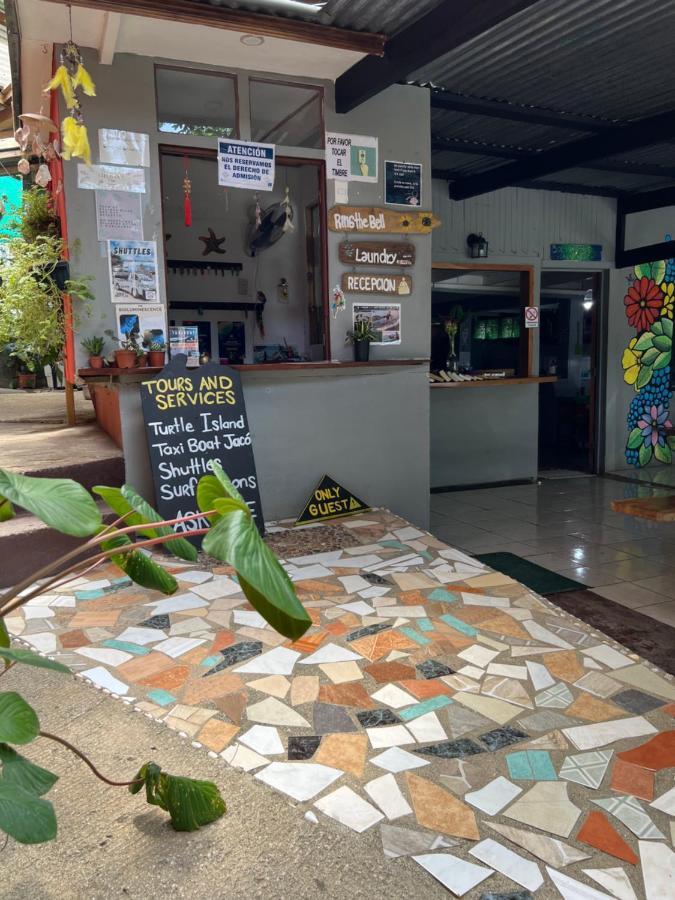 Pura Vida Montezuma