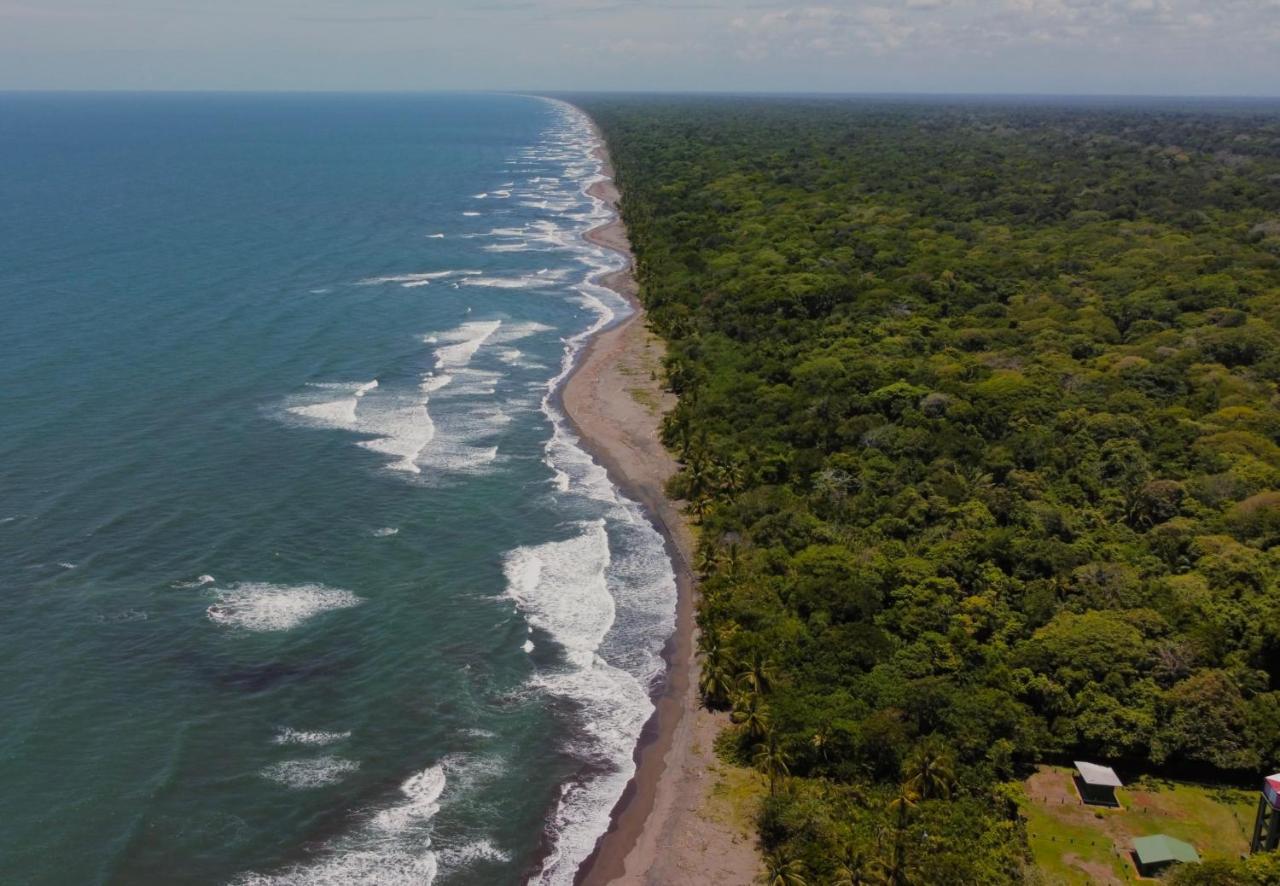 El Icaco Tortuguero