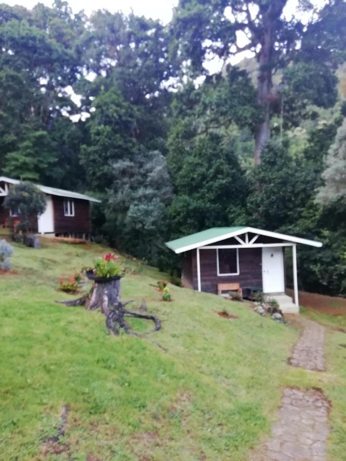 Miriam's Quetzals