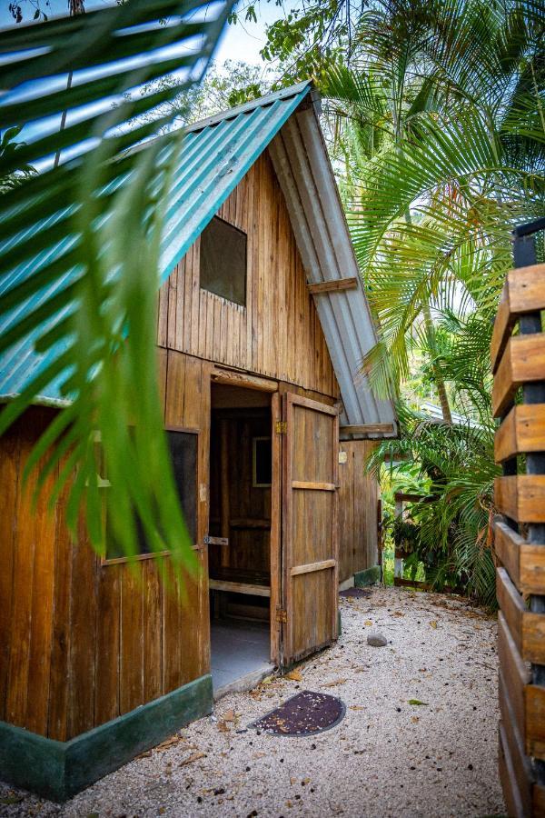 Pura Vida Mini Santa Teresa