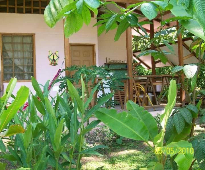 Luna Caribena Village 2*