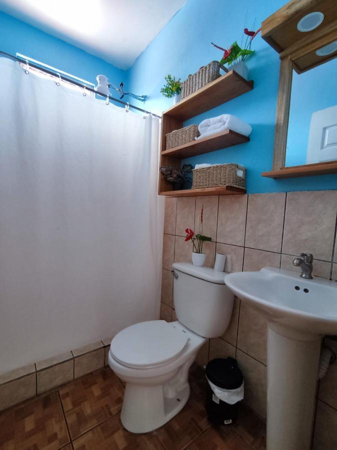 Coati Del Arenal Apartment *