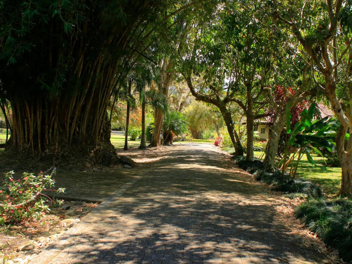 Casa Sofia, A Gem Close To Thermal Pools! Villa