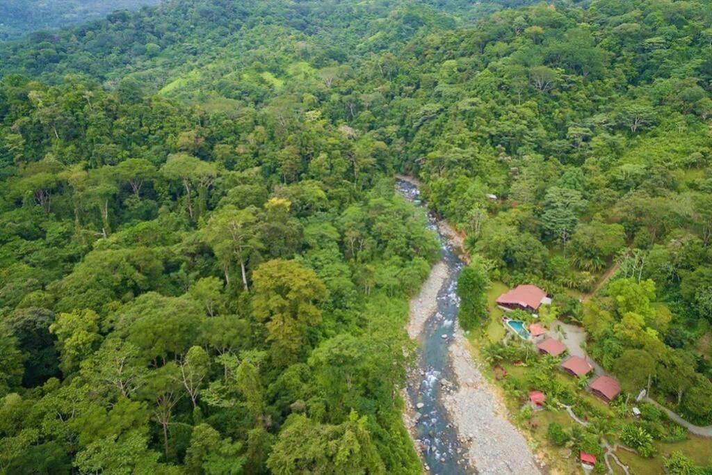 Tortuga Premium Riverfront Jungle With Jacuzzi And Pool * Uvita
