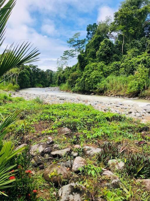 Villa Tortuga Premium Riverfront Jungle With Jacuzzi And Pool *