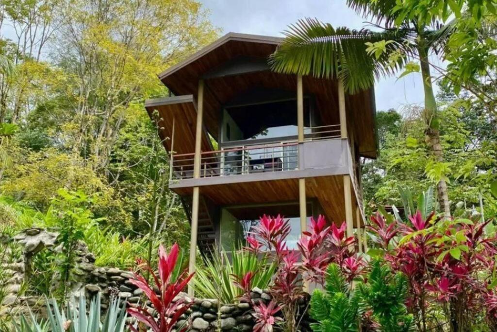 Tortuga Premium Riverfront Jungle With Jacuzzi And Pool