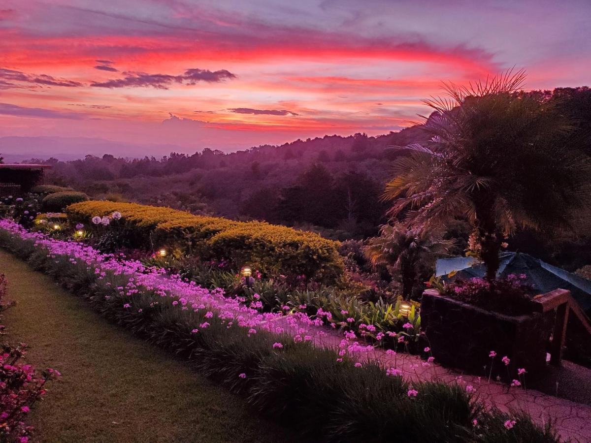 Finca Paraiso Mountain Retreat Near San Jose Airport Hotel Birri