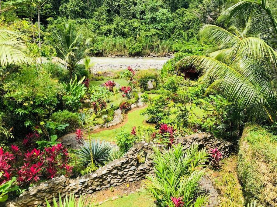 Tortuga Premium Riverfront Jungle With Jacuzzi And Pool Villa *