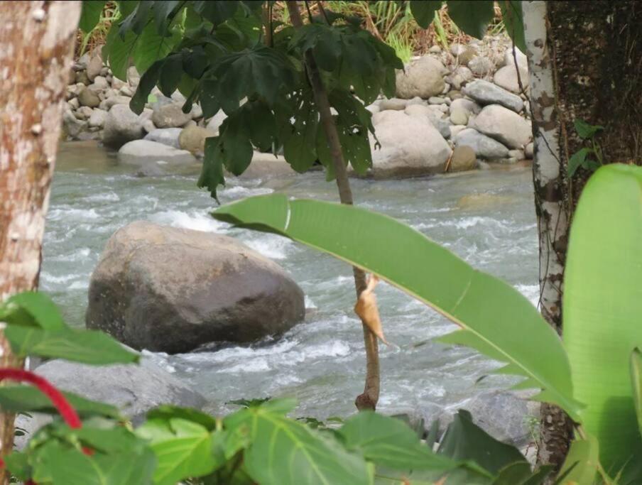 Tortuga Premium Riverfront Jungle With Jacuzzi And Pool *