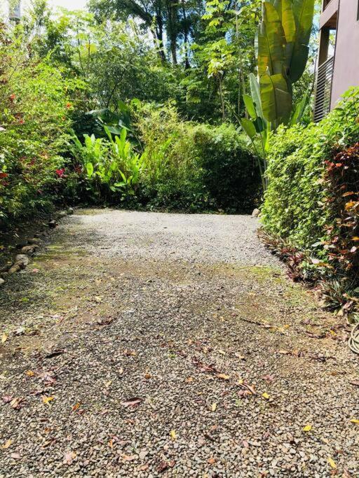 Tortuga Premium Riverfront Jungle With Jacuzzi And Pool Villa Uvita