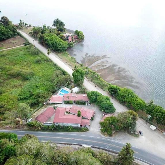 Pez Gallo Hotel