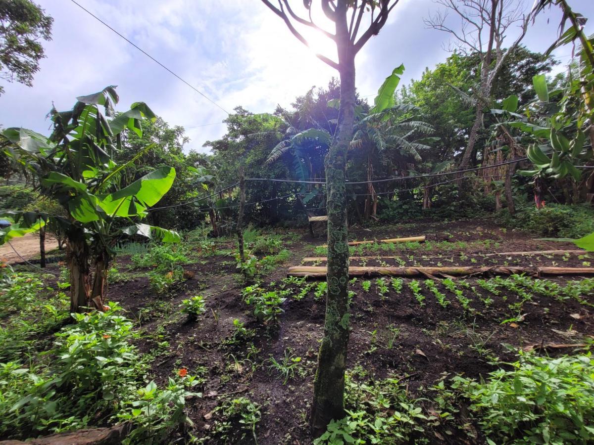 Granja Campesinos Guest house Monteverde