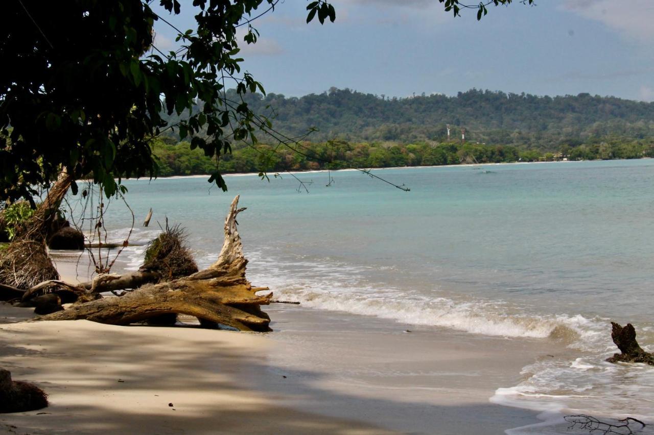 Cabinas Cahuita