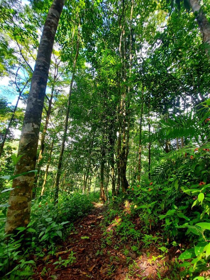 Canto Del Tucan And Farm Farm stay