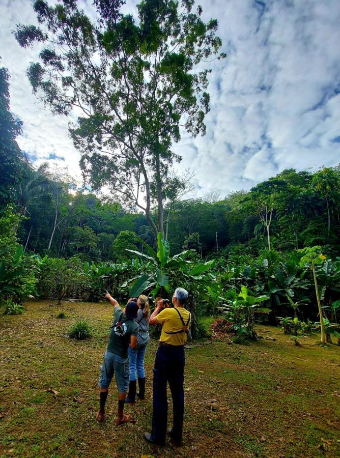 Canto Del Tucan And Farm Farm stay *