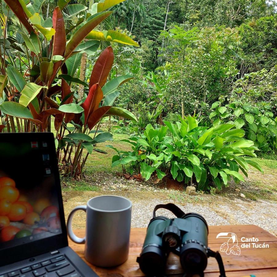 Canto Del Tucan And Farm Farm stay Golfito
