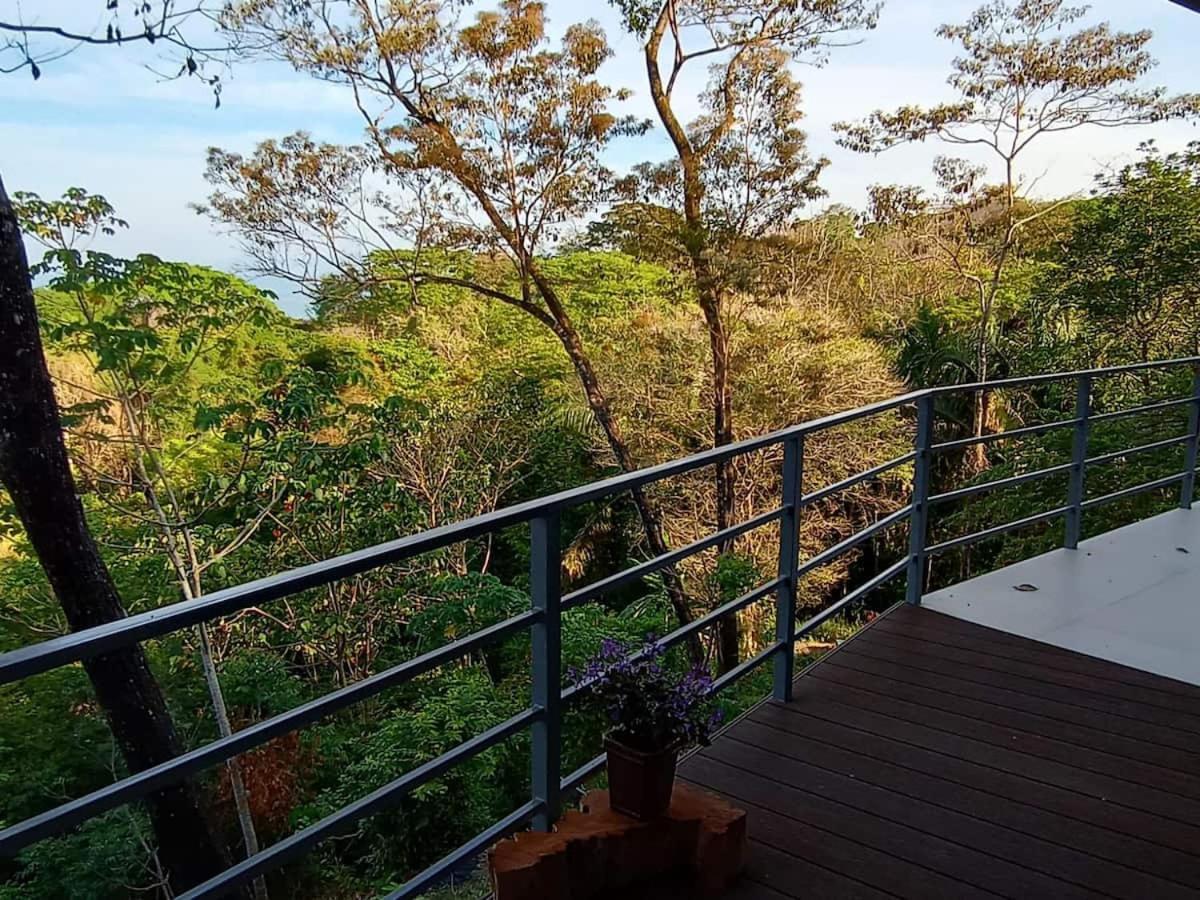 Laurel Jungle & Ocean *