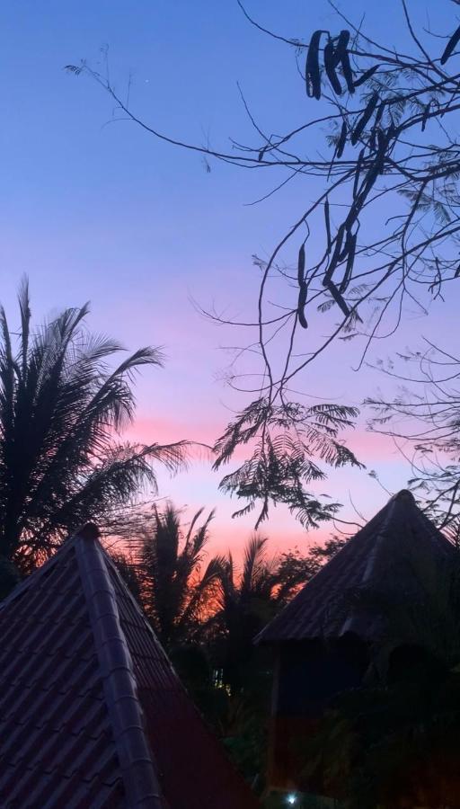Casa Tropical Playa Grande Bed & Breakfast *