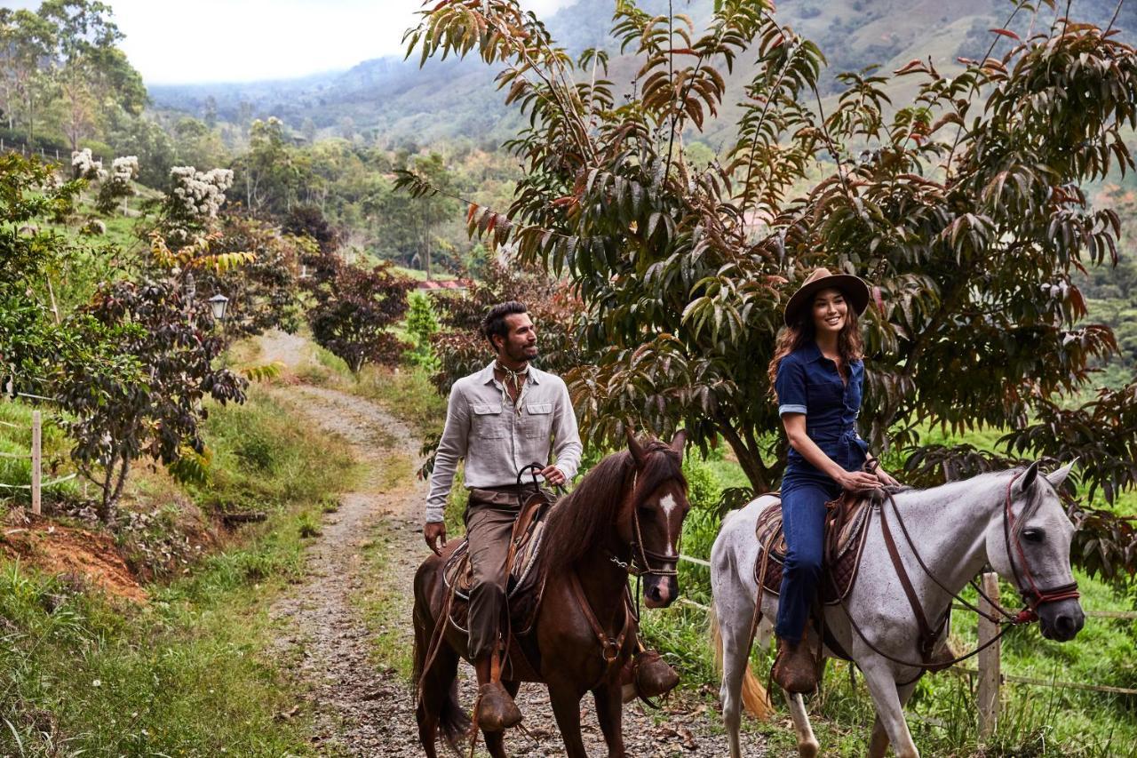 Resort Hacienda Altagracia, Collection 5*