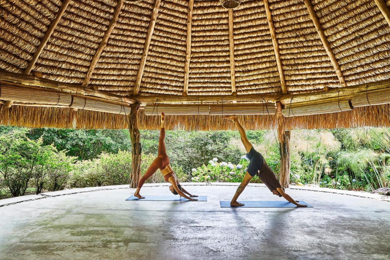 Resort Hacienda Altagracia, Collection