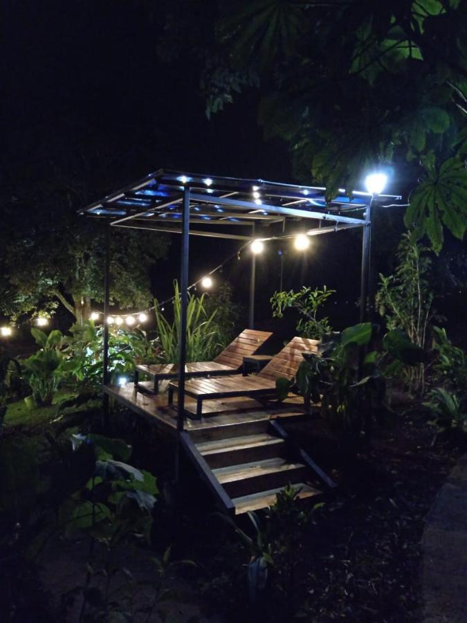 Jungle Living Tree *