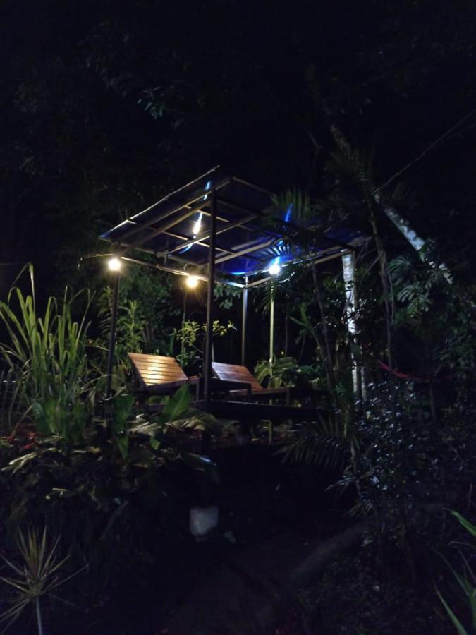 Jungle Living Tree Lodge Monteverde