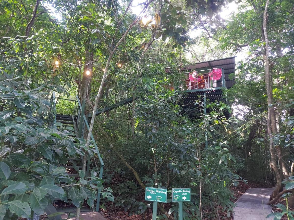 Jungle Living Tree Lodge